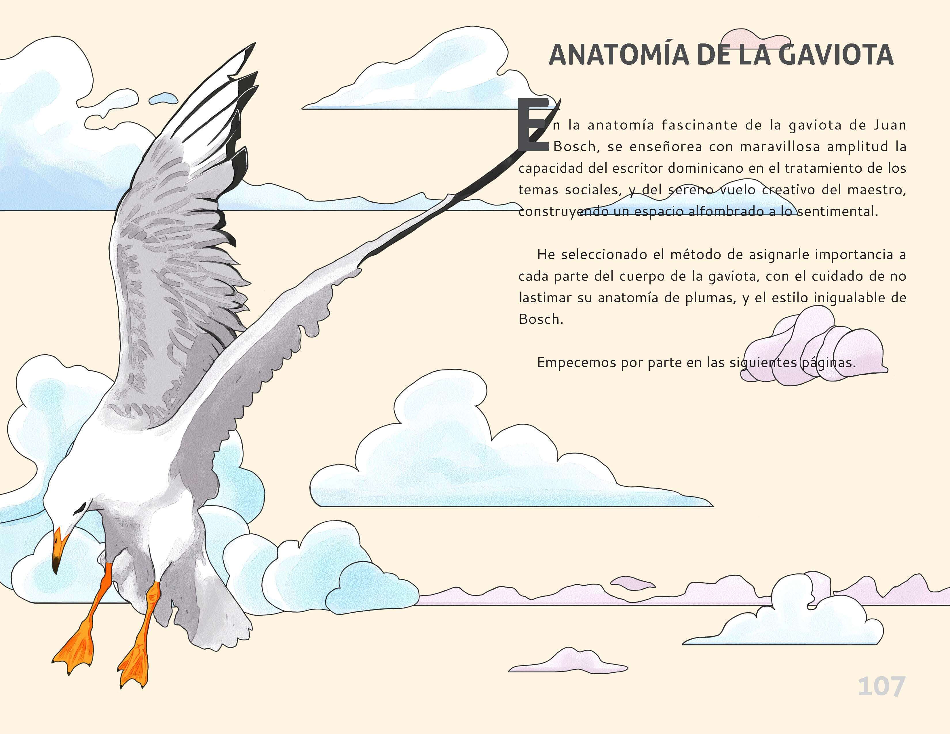 Anatomía de la gaviota